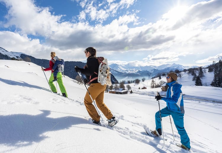 Snowshoeing